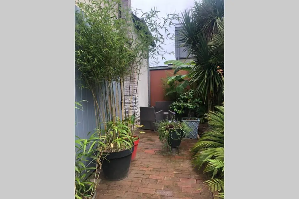 La Petite Maison Dans La Jungle Chartres-de-Bretagne